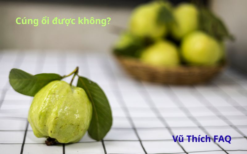 Có cúng ổi được không? Cúng mấy trái thì tốt?