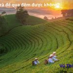 Hồng trà để qua đêm được không? Để bên ngoài được bao lâu?