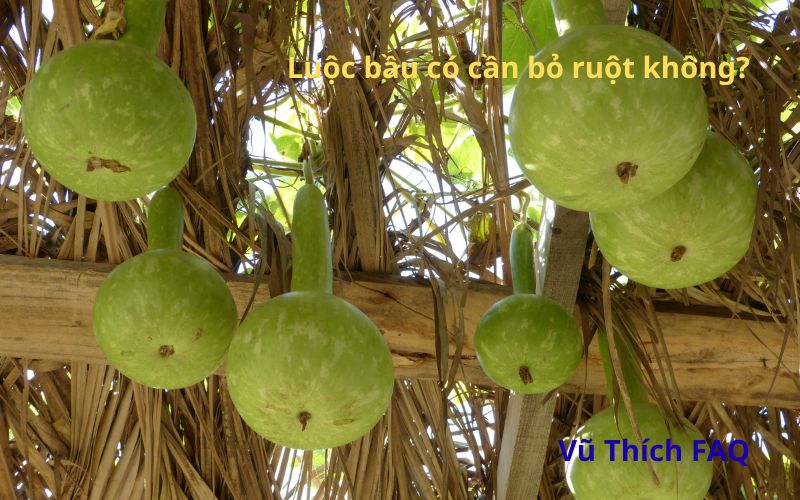 Luộc bầu có cần bỏ ruột không? Luộc bao nhiêu phút thì chín?