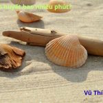 Luộc sò huyết bao nhiêu phút? ăn sống có được không?