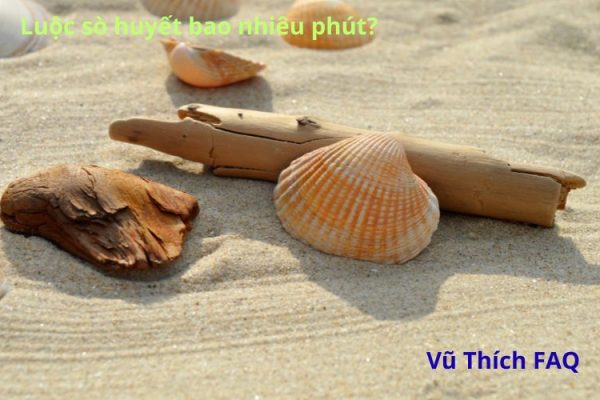 Luộc sò huyết bao nhiêu phút? ăn sống có được không?