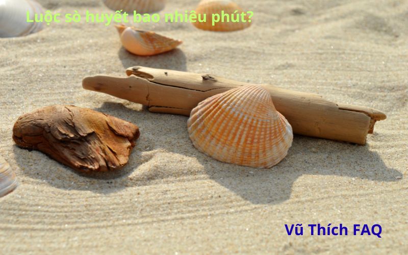 Luộc sò huyết bao nhiêu phút? ăn sống có được không?