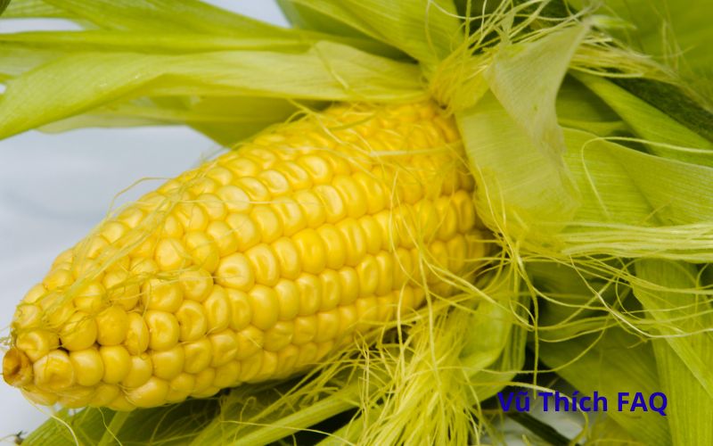 Cúng bắp có lột vỏ không? cúng mấy trái tốt nhất?