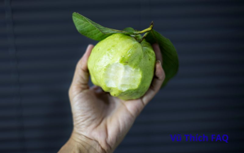 C&oacute; c&uacute;ng ổi được kh&ocirc;ng? C&uacute;ng mấy tr&aacute;i th&igrave; tốt?