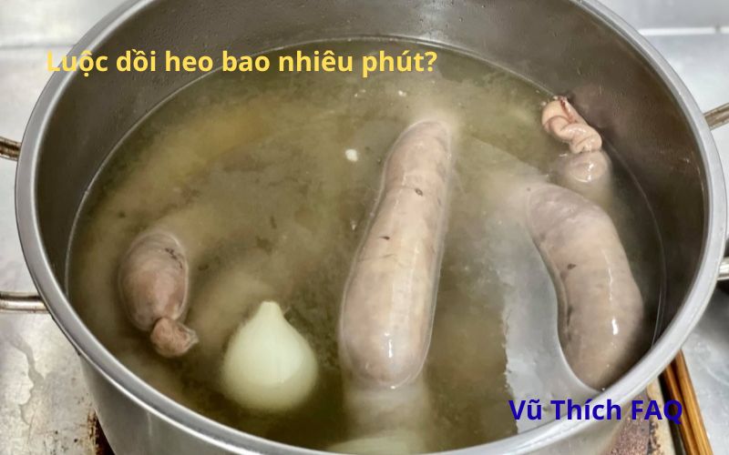 Luộc dồi heo bao nhi&ecirc;u ph&uacute;t? luộc bằng nước n&oacute;ng hay lạnh?