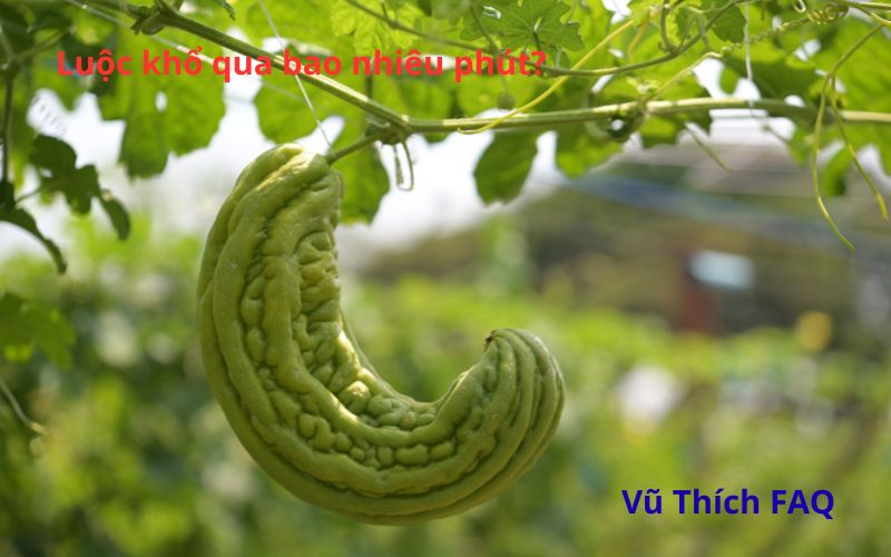 Luộc khổ qua bao nhi&ecirc;u ph&uacute;t? chấm với g&igrave; th&igrave; ngon nhất?