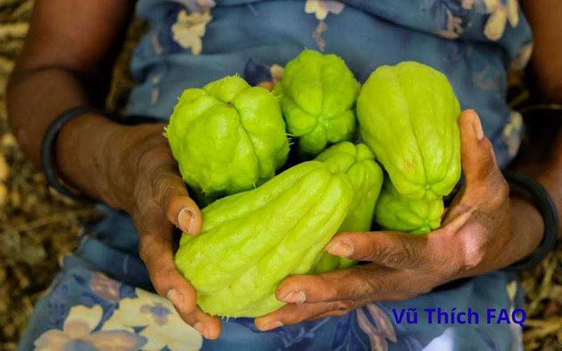 Luộc su su c&oacute; cần gọt vỏ kh&ocirc;ng? Luộc bao l&acirc;u th&igrave; ch&iacute;n?