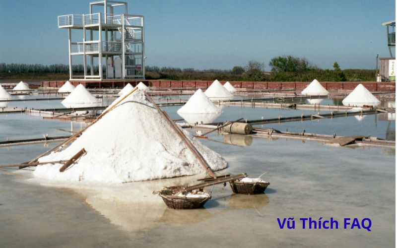 Rải muối trước cửa nh&agrave; c&oacute; sao kh&ocirc;ng? rải bao nhi&ecirc;u th&igrave; tốt?