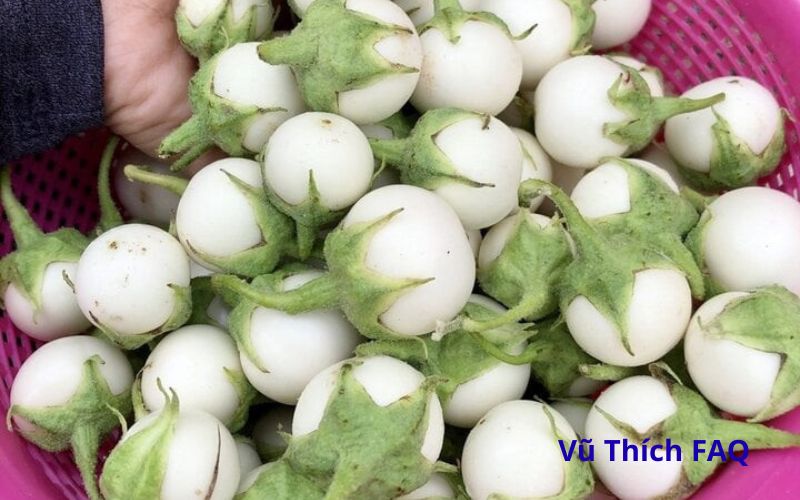 Cà pháo ngâm nước muối bao lâu thì ăn được? Cách ngâm sao cho ngon?