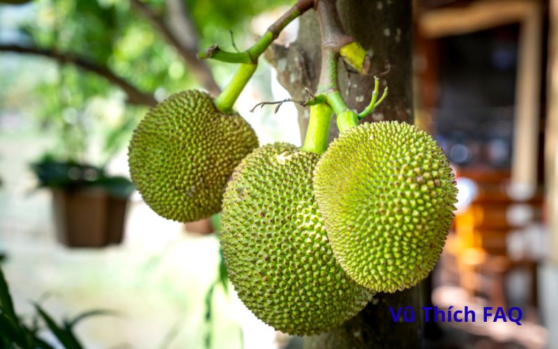 C&aacute;ch bổ m&iacute;t kh&ocirc;ng d&iacute;nh nhựa v&agrave;o dao cực đơn giản