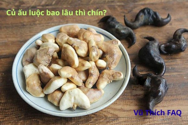 Củ ấu luộc bao nhiêu phút thì chín? Ăn sống có được không?