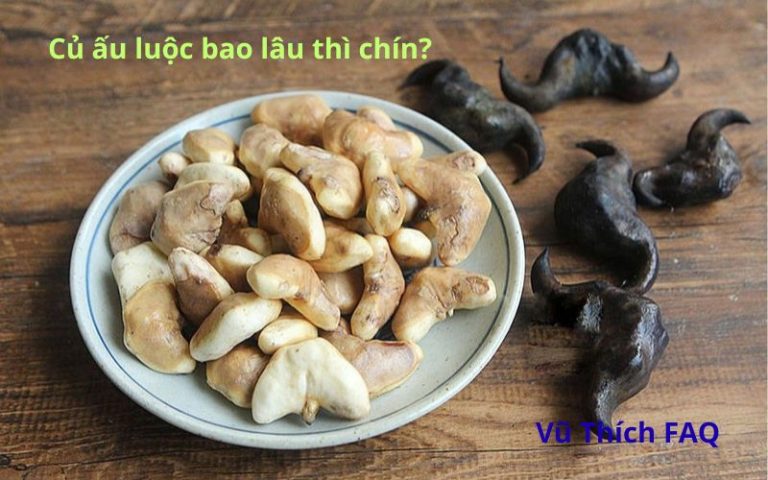 Củ ấu luộc bao nhiêu phút thì chín? Ăn sống có được không?