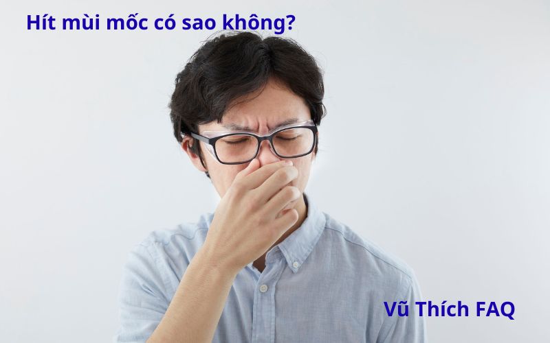 Hít mùi mốc có sao không? Nên làm gì khi hít phải?