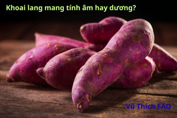 Khoai lang tính âm hay dương? nên dùng chung với gì?