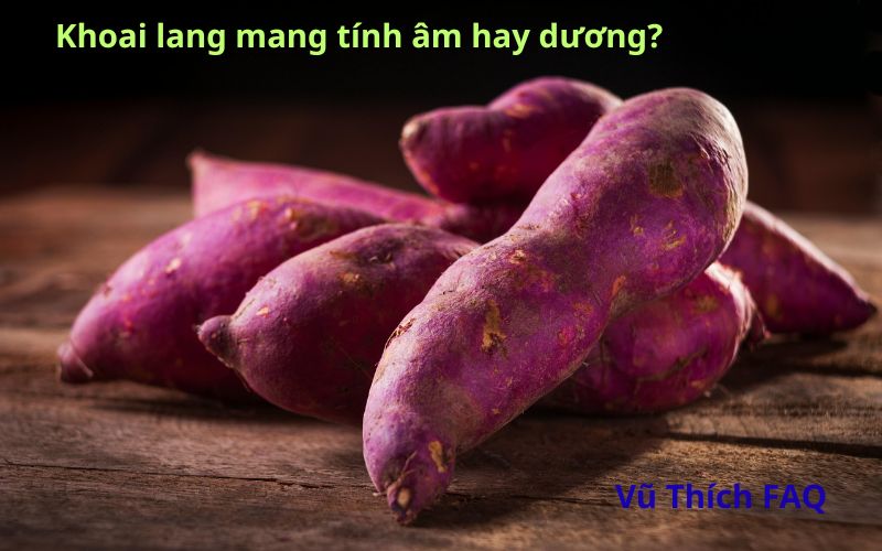 Khoai lang tính âm hay dương? nên dùng chung với gì?