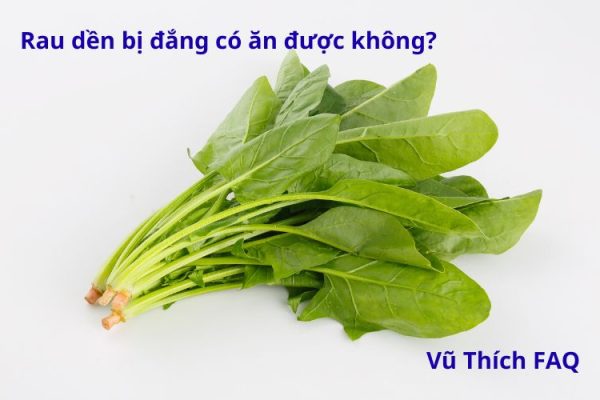 Rau dền bị đắng có ăn được không? Cách xử lý thế nào?