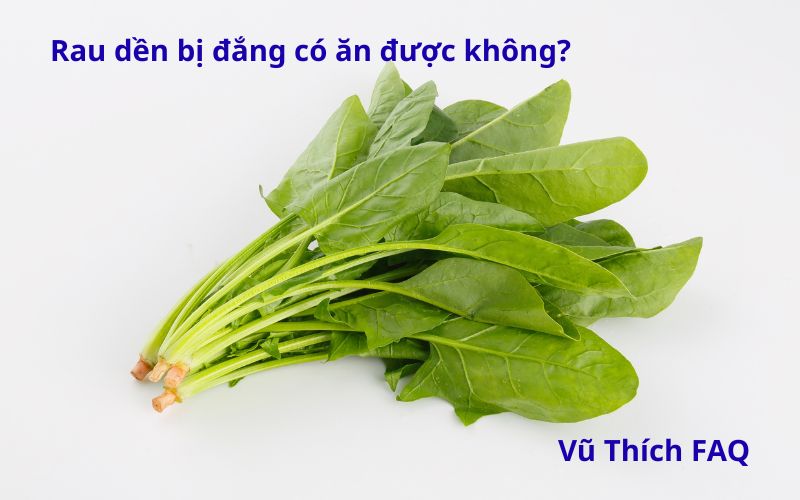 Rau dền bị đắng có ăn được không? Cách xử lý thế nào?