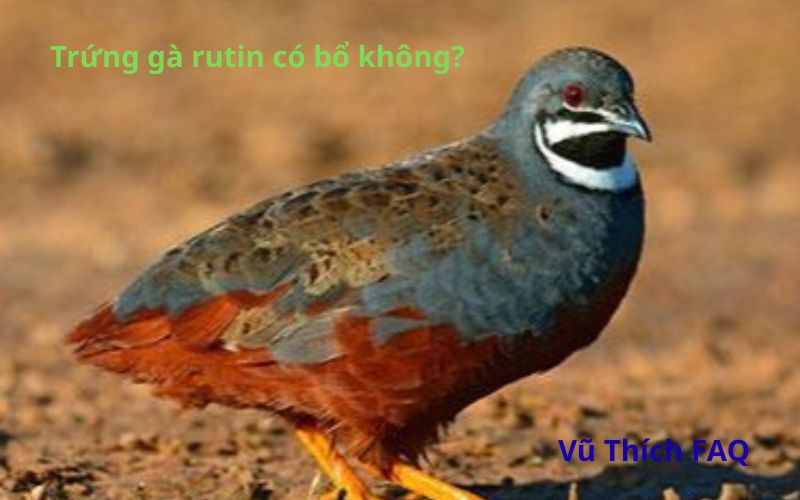 Trứng gà Rutin có bổ không? Làm món gì ngon?