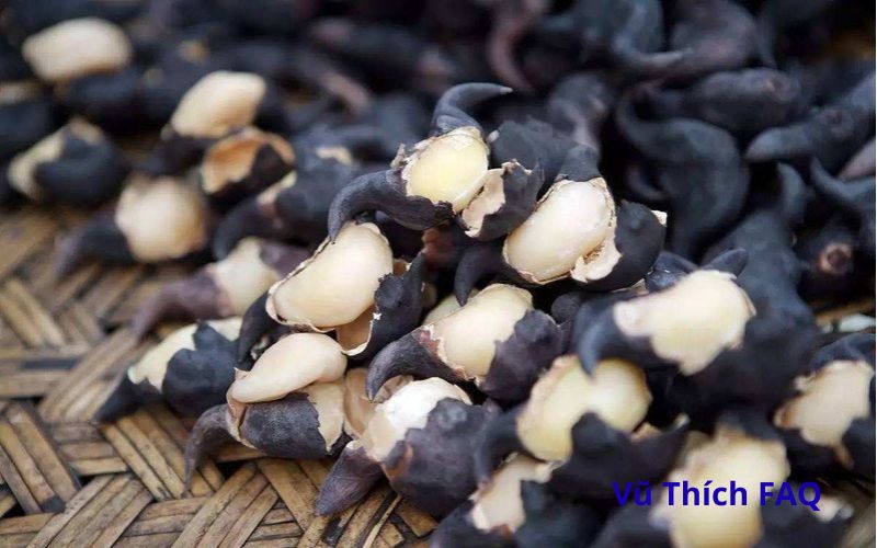 Củ ấu luộc bao nhi&ecirc;u ph&uacute;t th&igrave; ch&iacute;n? Ăn sống c&oacute; được kh&ocirc;ng?