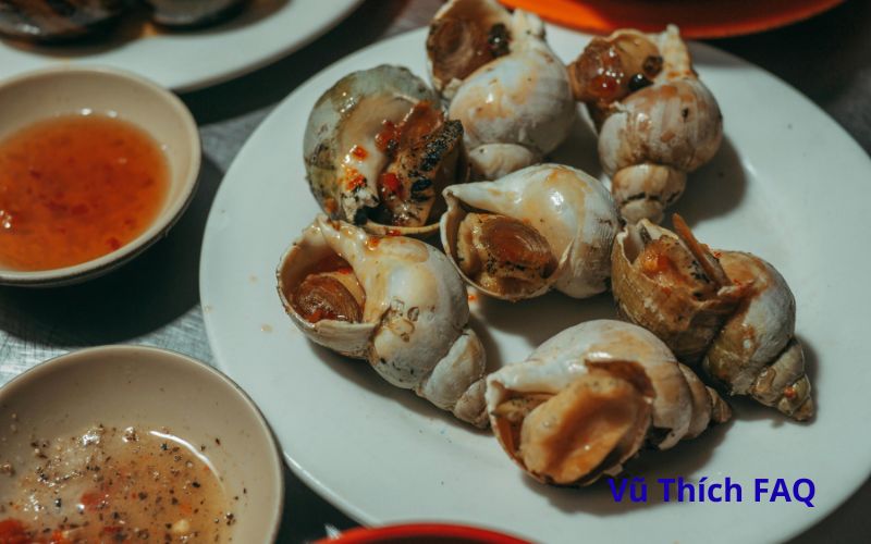 Có nên ngâm ốc qua đêm không? Ngâm với muối hay ớt?