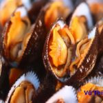 Cách ngâm sò huyết nhả sạch cát siêu đơn giản
