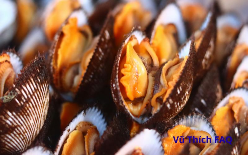 Cách ngâm sò huyết nhả sạch cát siêu đơn giản