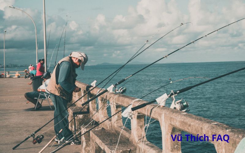 Câu cá tai tượng bằng mồi gì? Câu lúc nào thì tốt nhất?