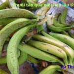 Chuối táo quạ nấu bao lâu thì chín? để bên ngoài được bao lâu?