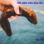 Hải sâm nấu bao lâu thì chín? Nấu được những món gì ngon?