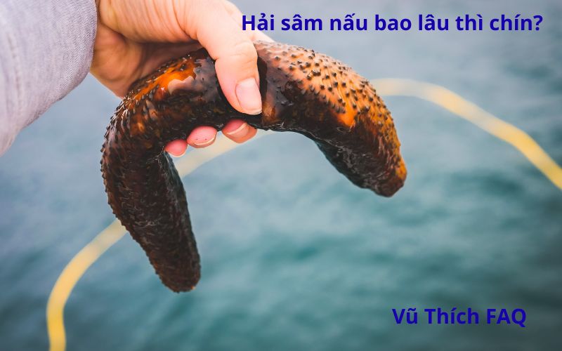Hải sâm nấu bao lâu thì chín? Nấu được những món gì ngon?
