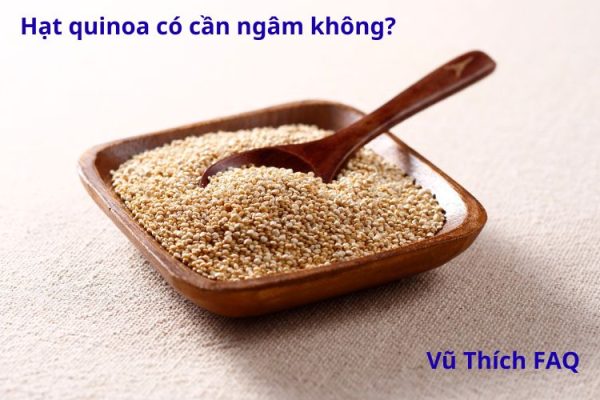 Hạt quinoa có cần ngâm không? nấu bao lâu thì chín?