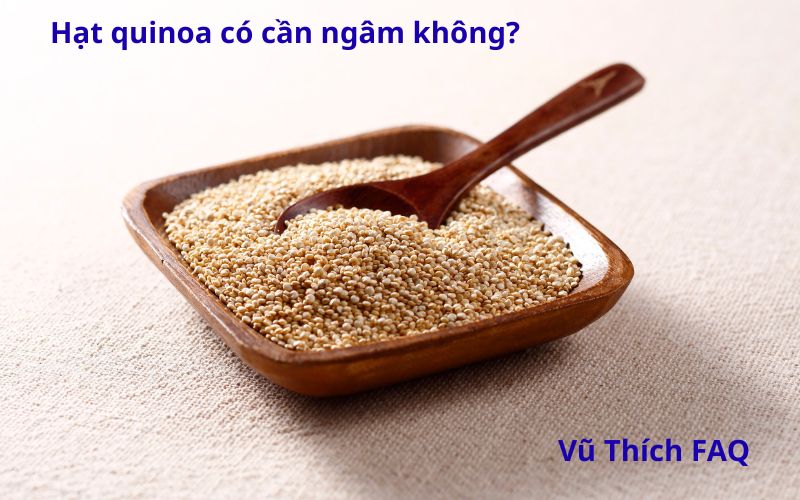 Hạt quinoa có cần ngâm không? nấu bao lâu thì chín?