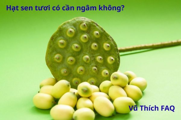 Hạt sen tươi có cần ngâm không? Ngâm nước nóng hay lạnh?