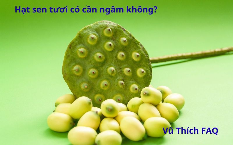 Hạt sen tươi có cần ngâm không? Ngâm nước nóng hay lạnh?
