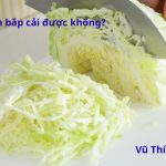 Mèo ăn bắp cải luộc được không? Ăn mấy lần mỗi tuần?