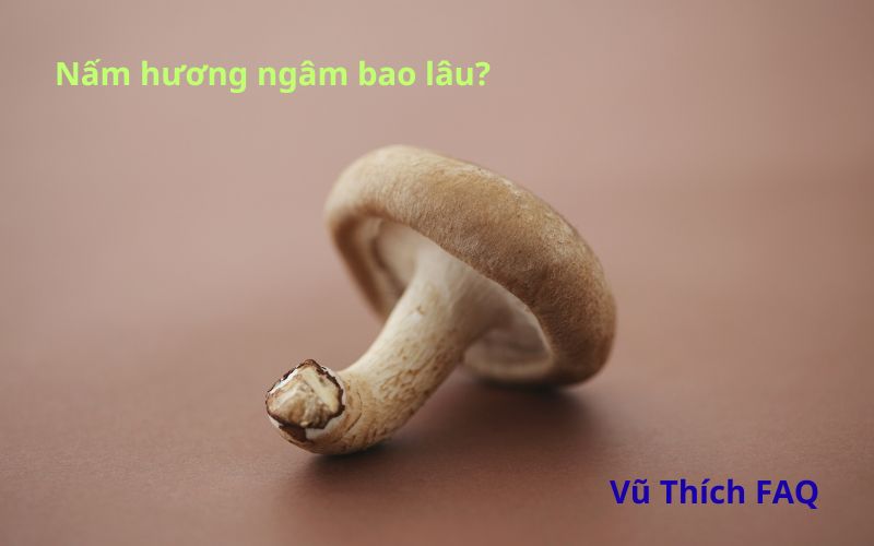 Nấm hương khô ngâm bao lâu thì nấu được? Ngâm qua đêm được không?