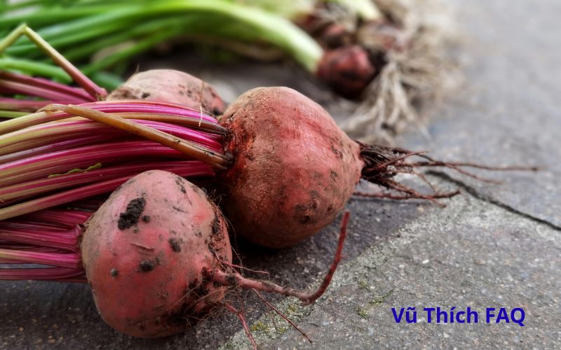 Củ dền nấu bao lâu thì chín? nấu chung với khoai tây được không?