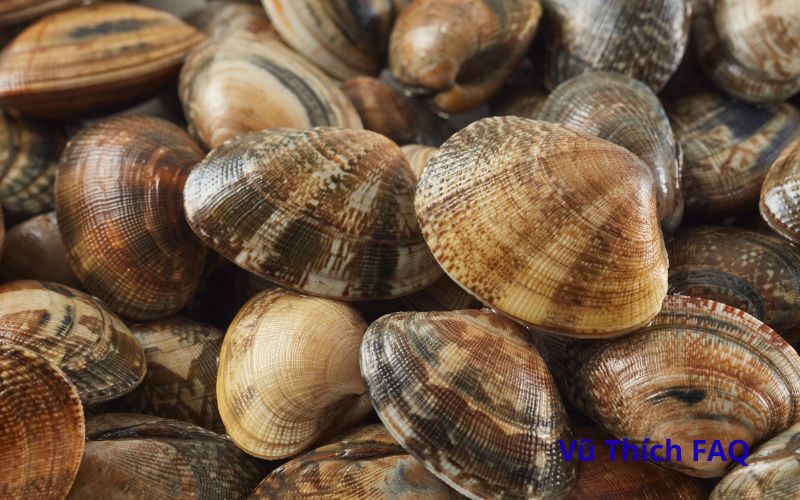Hến xào bao lâu thì chín? bao nhiêu calo?
