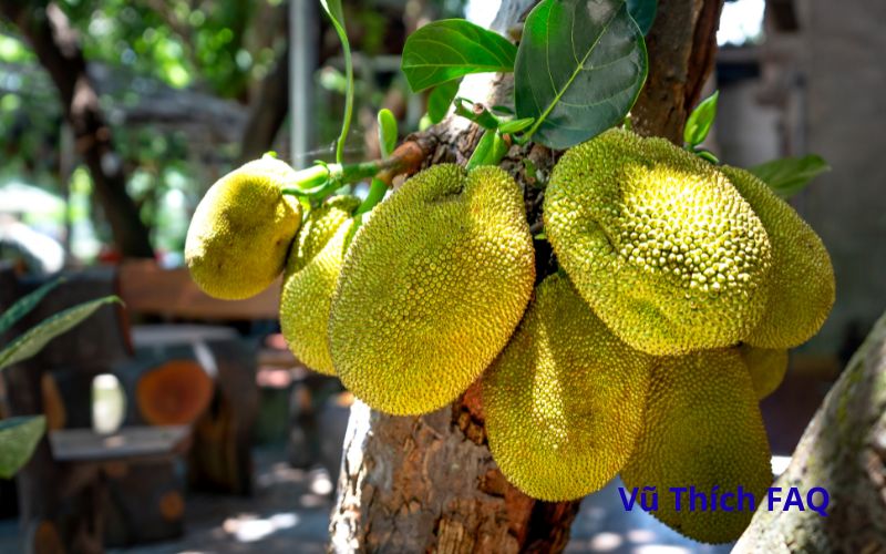M&iacute;t đ&oacute;ng cọc bao l&acirc;u th&igrave; ch&iacute;n? C&aacute;ch nhận biết thế n&agrave;o?