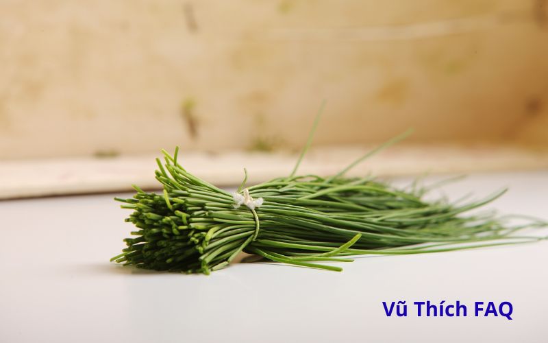 Rau hẹ c&oacute; ưa nắng kh&ocirc;ng? Trồng chỗ n&agrave;o ph&ugrave; hợp nhất?