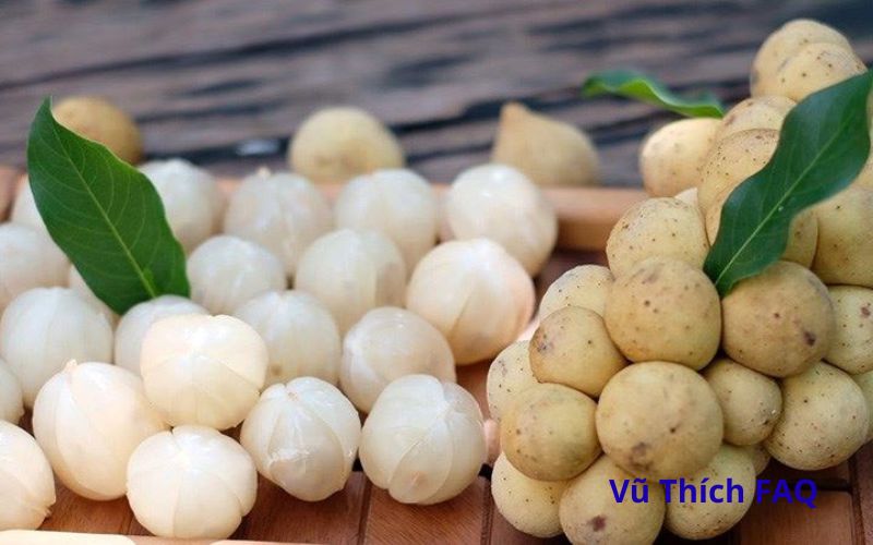 Trái bòn bon trồng nhiều ở đâu? chín vào tháng mấy?